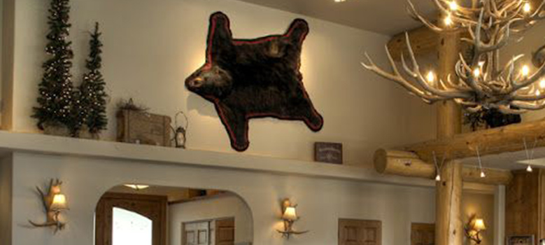Bear Rug on Wall Ideas